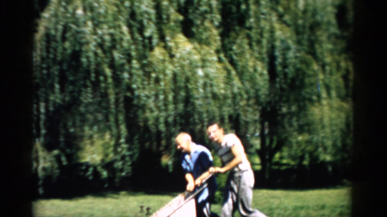 Two men pushing a vintage reel-type lawnmower across a sunlit lawn, with a weeping willow and dense trees behind them.