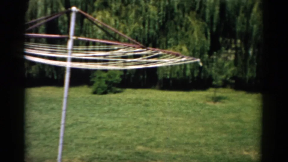 An empty rotary umbrella clothesline occupies the foreground of a well-kept backyard, with a weeping willow tree visible behind, in this 1950s home movie from Catskill, New York.