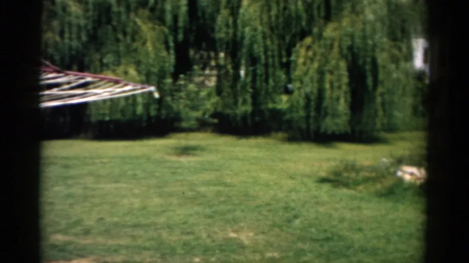 A rotary clothesline in a spacious green backyard with a large weeping willow, part of a 1950s home movie from Catskill, New York.