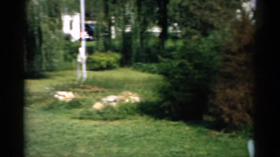 8mm home movie pan of a Catskill, New York backyard circa 1957; flagpole and stone garden bed remain centered as an orange-toned tree enters frame at right.