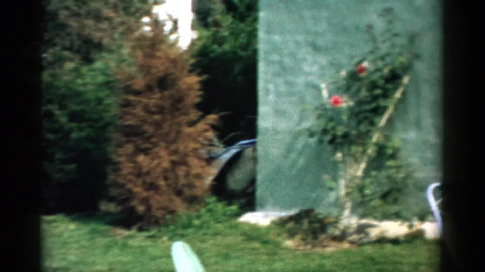 8mm home movie frame circa 1957 showing a rose trellis with a red bloom against a gray stucco wall, dried vegetation, stone border, and a lawn chair edge at lower left.