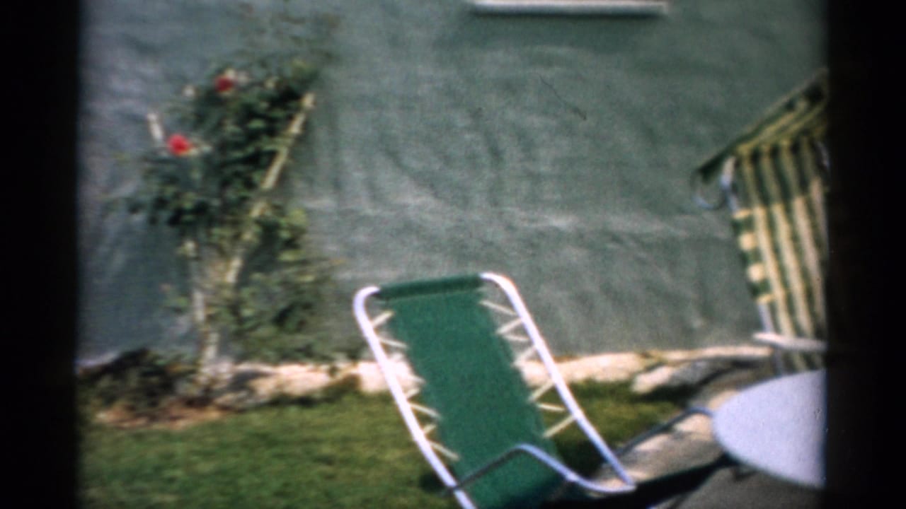 Backyard with a solid green folding lawn chair and a green-and-white striped reclining chair beside a climbing rose bush against a green-painted house wall.