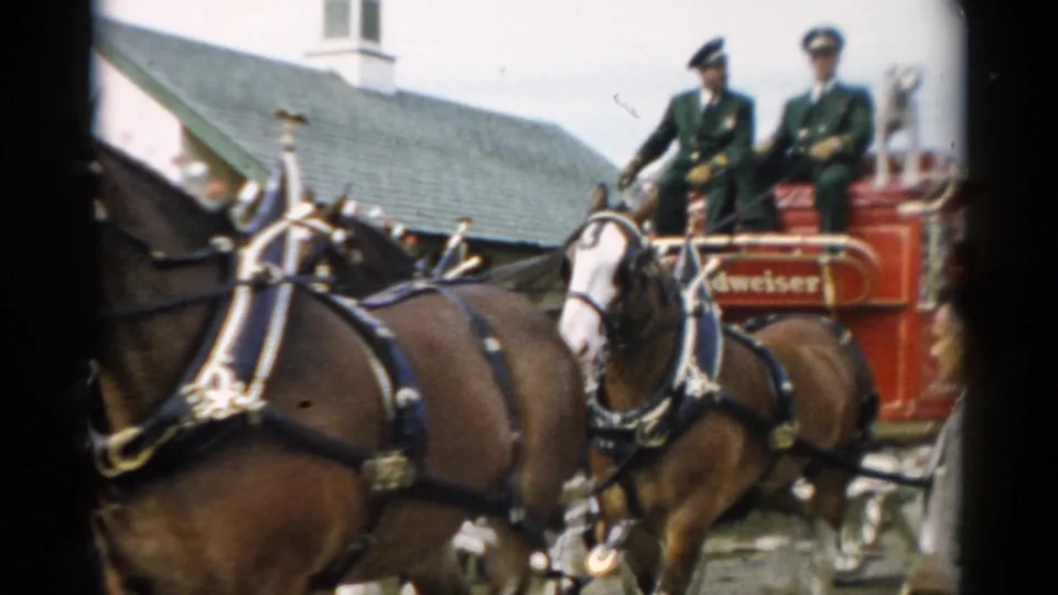 The Budweiser Clydesdale team pulls a red wagon through Catskill, with two green-uniformed men seated above the wagon and the brand name visible on the side.