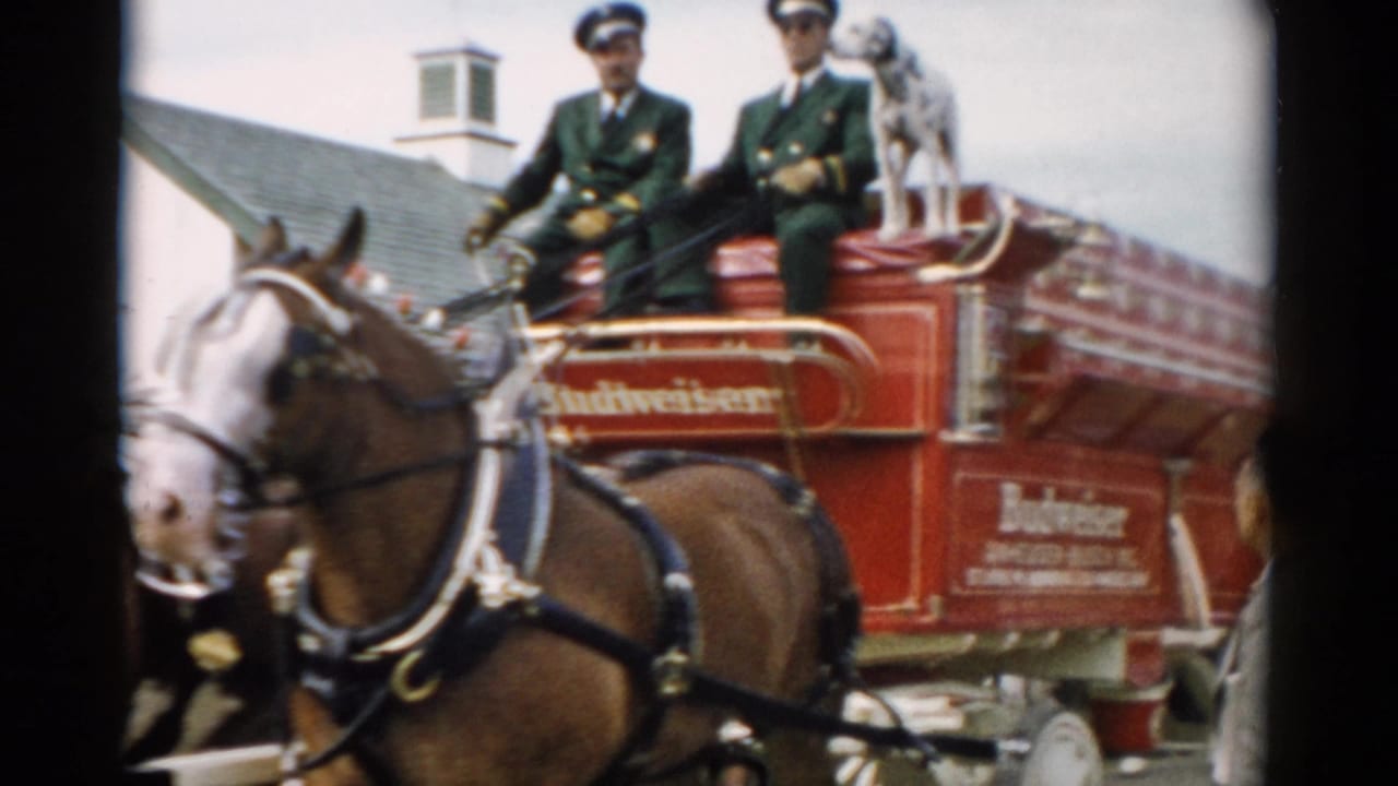 A close view shows a Clydesdale horse beside the red Budweiser wagon, with uniformed riders seated above and a dog visible near the top of the wagon.