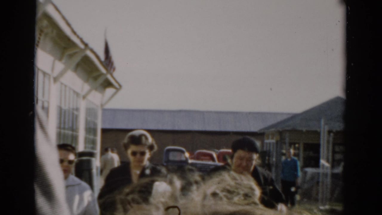 Visitor in sunglasses appears near a large animal at what may be the Catskill Game Farm, c. 1957; late-1950s cars and an American flag visible in background.