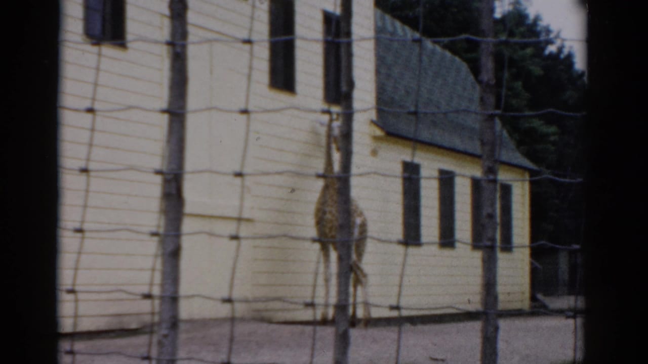 Giraffe standing in dirt enclosure viewed through wire mesh fence, yellow clapboard building with dark shuttered windows behind.