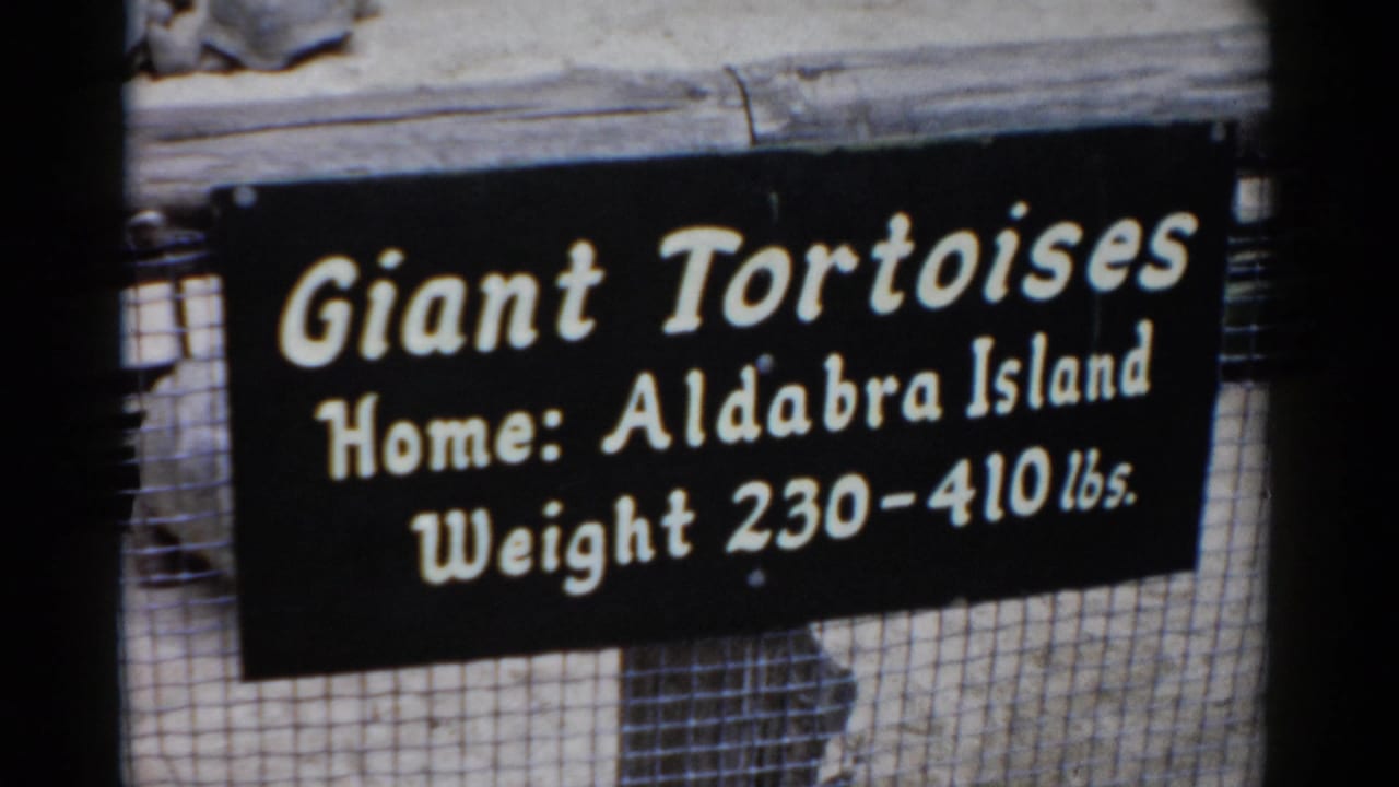 Zoo exhibit sign identifying Aldabra Island giant tortoises weighing 230–410 lbs., at what appears to be a 1950s American zoo enclosure.