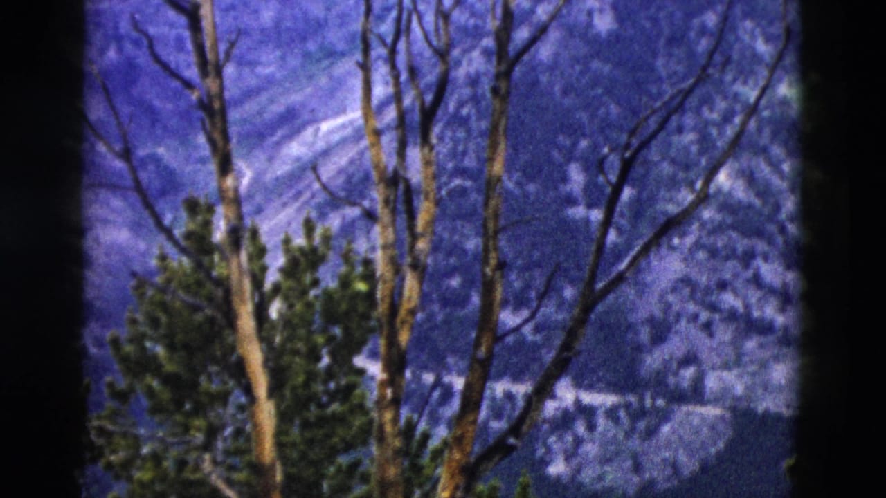 8mm frame from approximately 1958 showing bare deciduous trees and evergreens against a deep, heavily forested valley, likely Yellowstone, Wyoming.