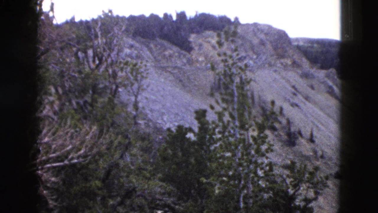 Rocky eroded hillside with sparse trees and bare tangled branches in the upper foreground.