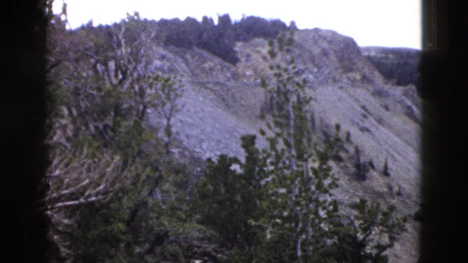 8mm frame circa 1958 of an eroded rocky slope with sparse conifers and a tangle of bare branches, consistent with Yellowstone terrain.