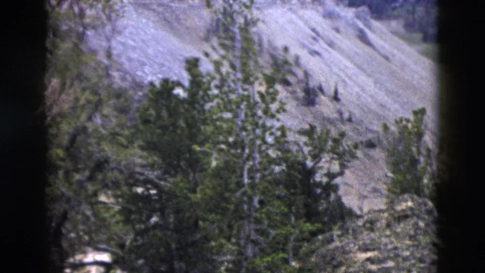 8mm frame circa 1958 showing green conifer trees against a broad, pale, steeply striated hillside, likely within Yellowstone National Park.