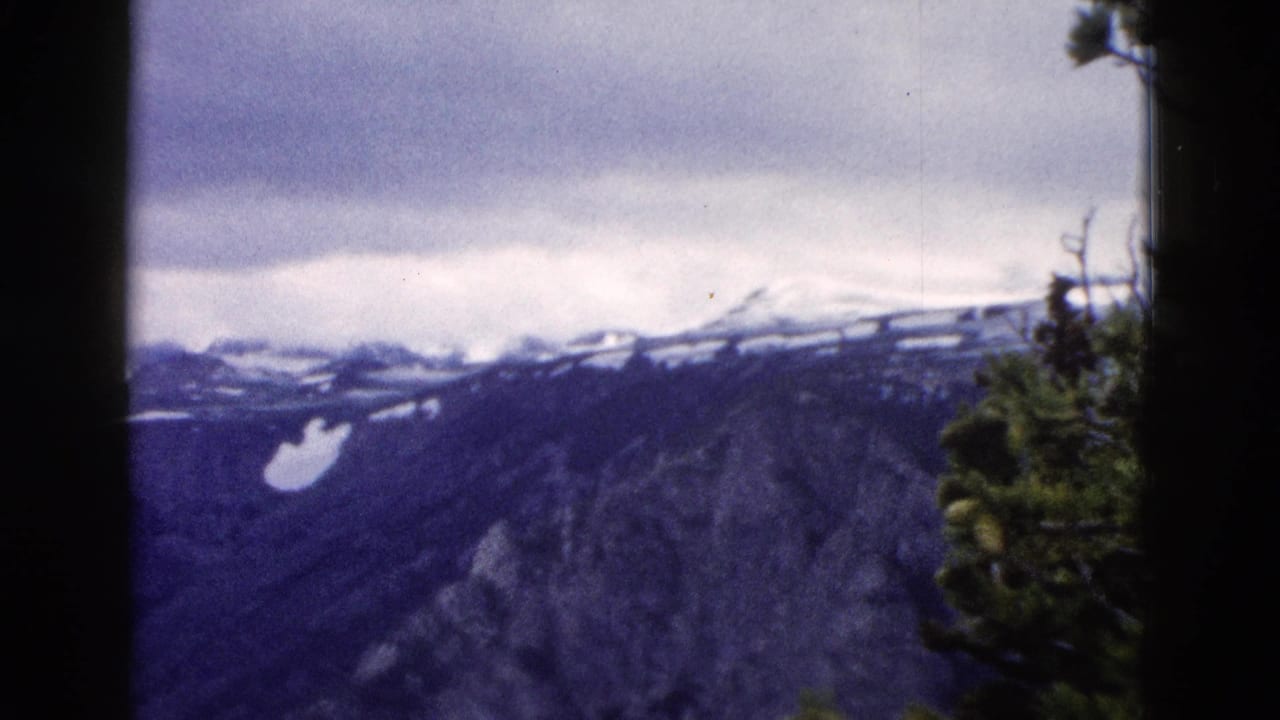 Snow-capped mountain range viewed past a dark vertical framing element, pine foliage at center, overcast sky, heavy blue cast.