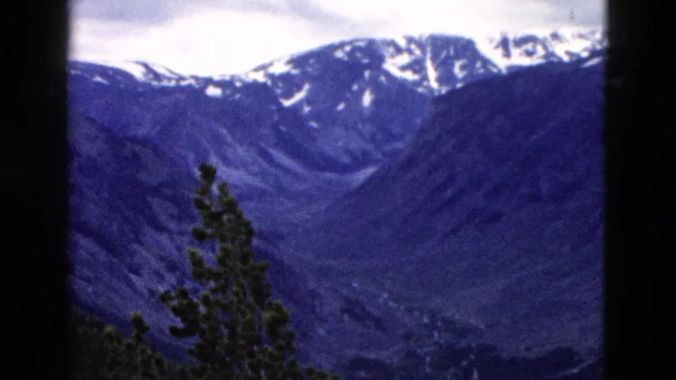 1958 8mm home movie showing a pine tree in the foreground against a snow-capped mountain valley, likely Yellowstone area Wyoming.