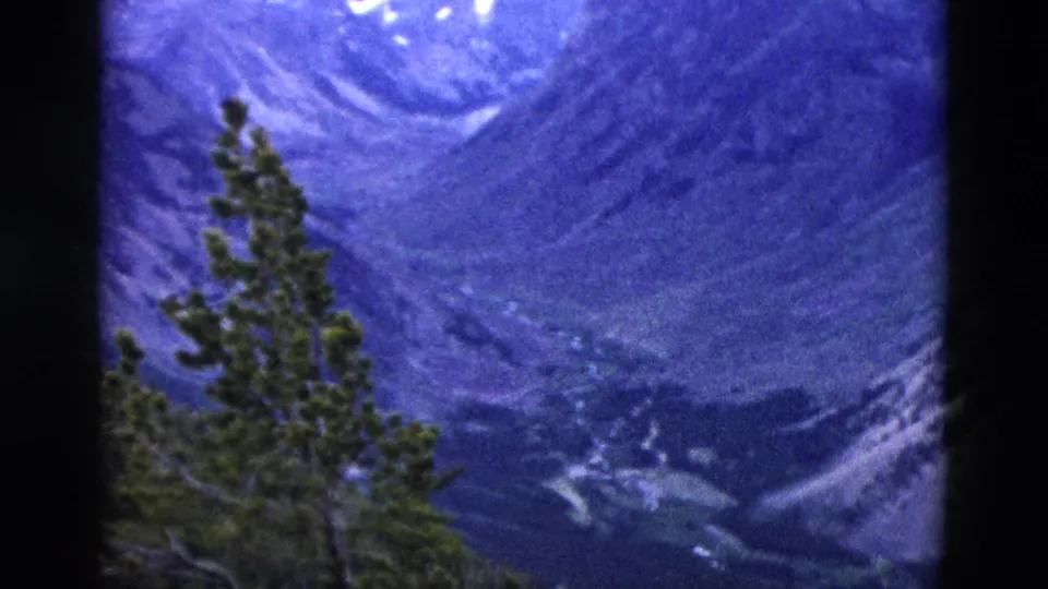 1958 8mm home movie end-frame showing mountain valley floor and rocky slopes, likely Yellowstone area Wyoming, with a pine tree in the right foreground.