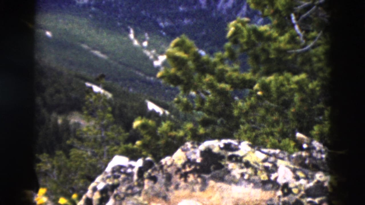 Close foreground view of lichen-covered boulders and evergreen conifers, likely Yellowstone, Wyoming, opening frame of a 1958 8mm home movie pan.