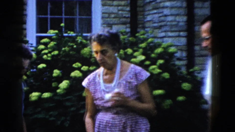 Close view of a woman in pink gingham dress and pearl necklace looking down, with green flowering shrubs and a second partially visible figure behind her at a 1950s American backyard gathering.