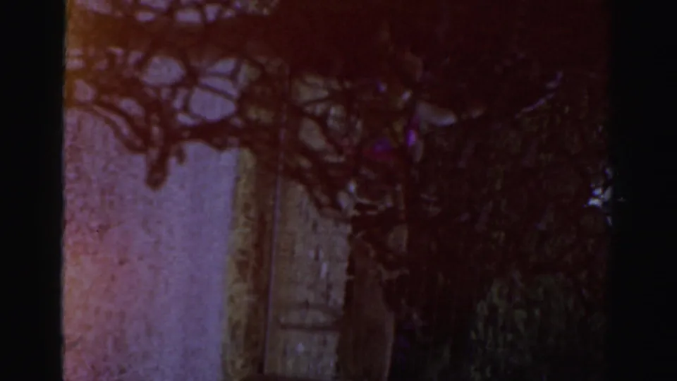 Soft, underexposed 1957 home-movie frame showing fencing, foliage, and enclosure structures at the Catskill animal attraction.
