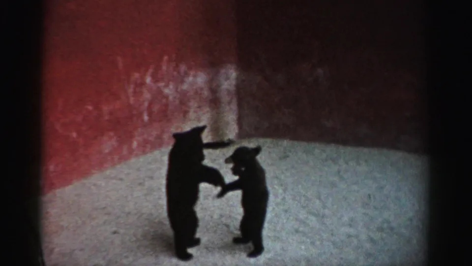 Two black bear cubs stand on their hind legs facing each other in the snowy Catskill Game Farm enclosure.