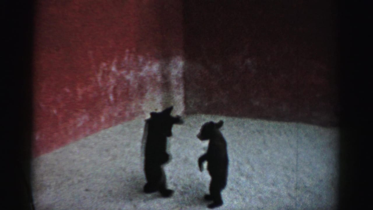 In 1957 Catskill zoo footage, two bear cubs face each other on hind legs inside a red-walled enclosure.