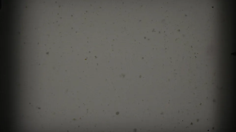 A darker blank 8mm frame shows dust, grain, uneven exposure, and heavy edge shading at the reel end.
