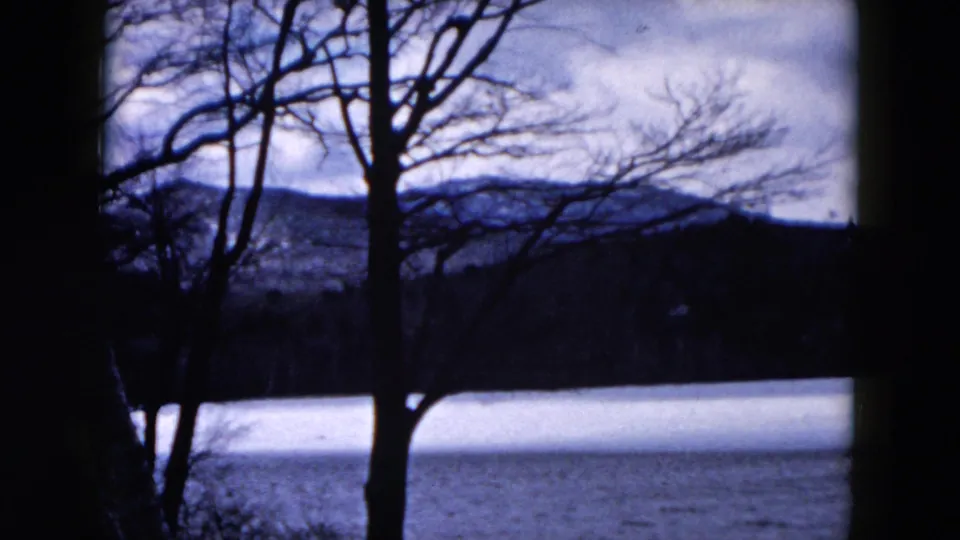 1957 Hicksville-area lake view framed by silhouetted bare trees, with distant hills and a pale sky across the water.
