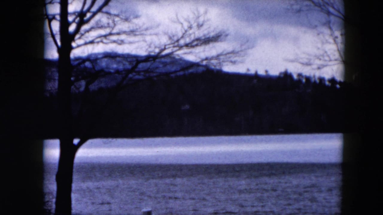 Leafless trees frame a partially iced lake with a wooded hillside beyond.
