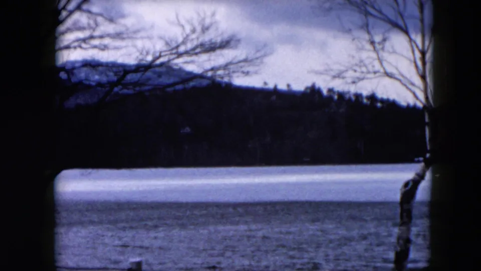 1957 Hicksville, New York lake view with a central dark tree trunk, pale icy water, bare branches, and a wooded hillside.