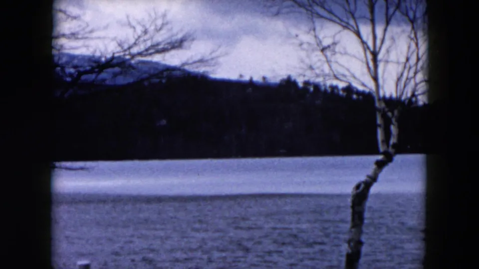 1957 Hicksville, New York frame with a leafless lakeside tree, partially iced water, dark woods, and a low winter hillside.