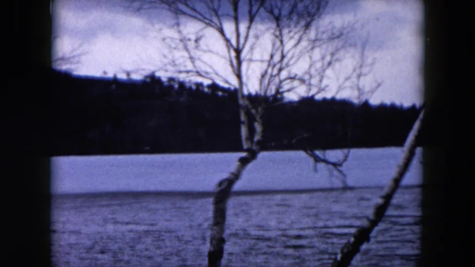 1957 Hicksville, New York lakeside view with bare foreground branches, still water, and a dark tree line across the lake.
