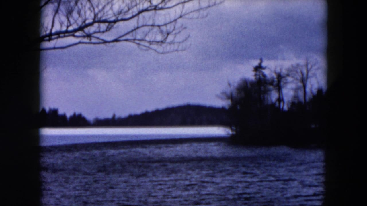 1957 8mm frame from the Hicksville, New York reel showing a lake, bare winter branches, distant wooded shore, and muted sky.