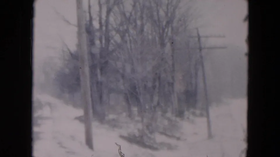 A 1950s 8mm winter road view shows bare roadside trees, utility poles, overhead wires, and snow under a gray sky.