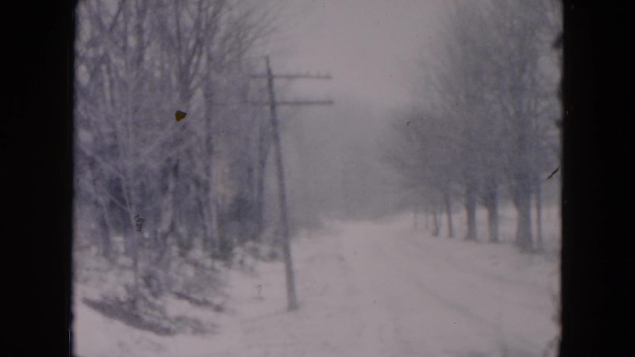 Snowy rural road lined with bare trees and a utility pole under a gray sky.