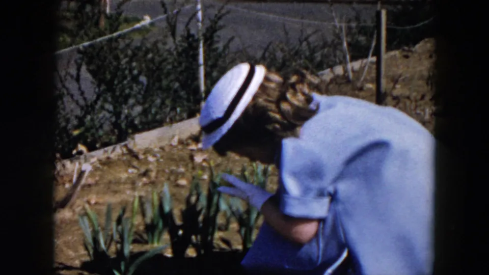 The woman remains bent over the backyard garden, with her pale blue dress, white hat, gloves, plants, soil, and fence visible.