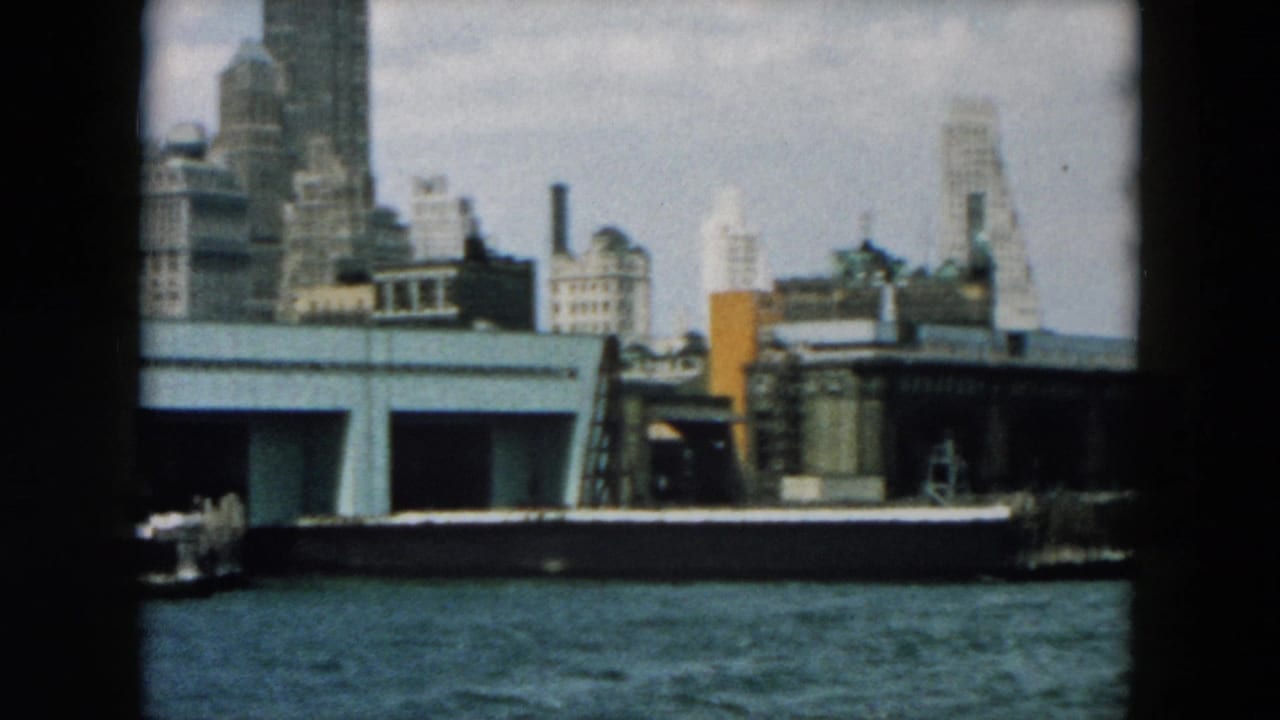 Harbor water with low piers and a distant city skyline under cloudy sky.
