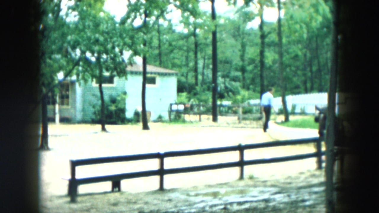 Wooded roadside with small light buildings, a fence, and a person walking in the distance.