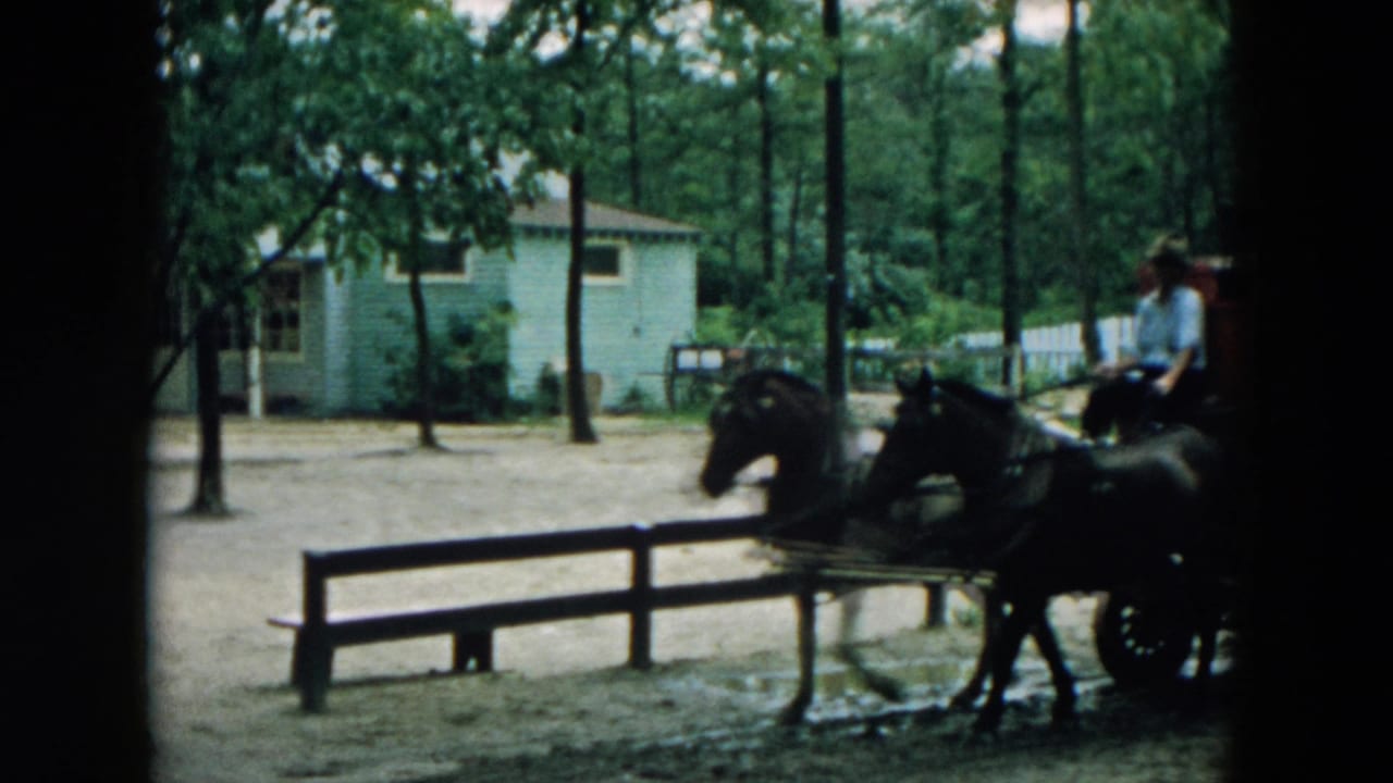 Two dark horses pull into view beside a wooden fence, with a driver seated above them.