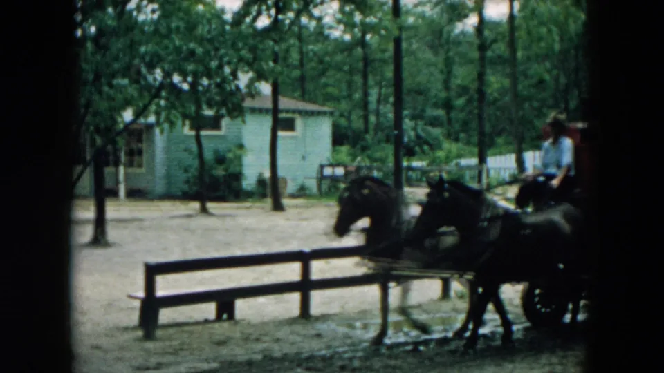 The horse team and driver appear at the edge of the wooded Hicksville scene as the stagecoach approaches.