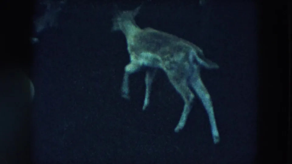 1957 Hicksville 8mm frame showing a young spotted deer moving through a dim, blue-green night scene.