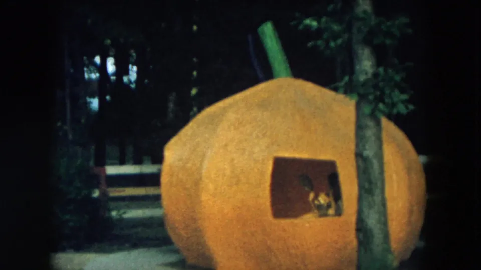 1957 Hicksville home-movie frame showing a round orange pumpkin-shaped structure in the woods, with a square opening and a tree trunk in front.