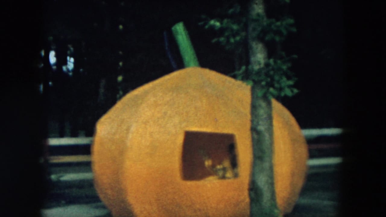 Large orange pumpkin-shaped playhouse beside trees at night.