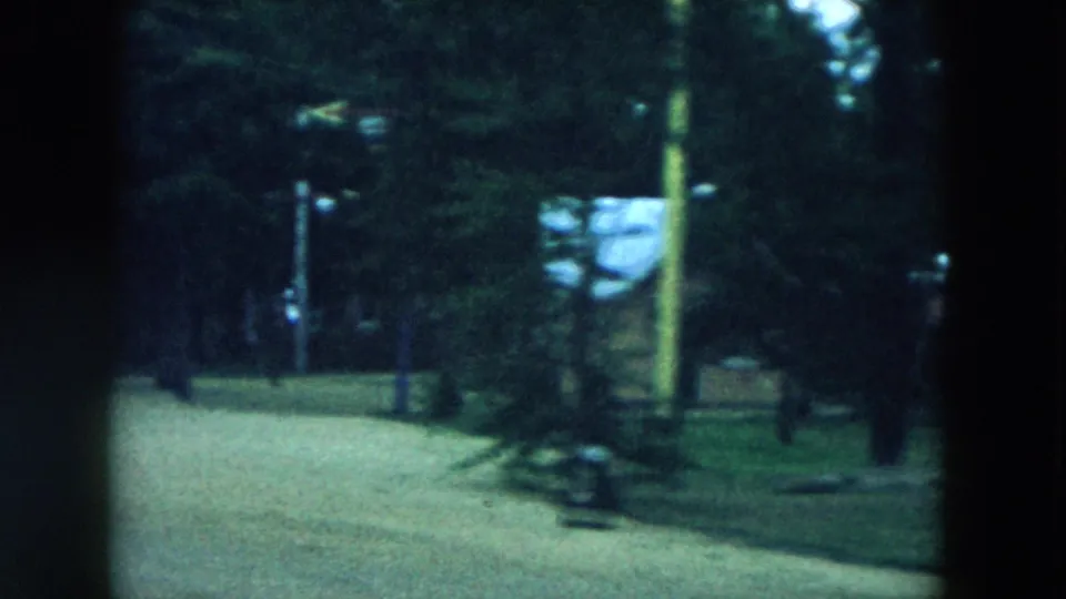 A shaded Storyland walkway with signs, trees, a utility pole, and a visible person passes by from the train viewpoint.