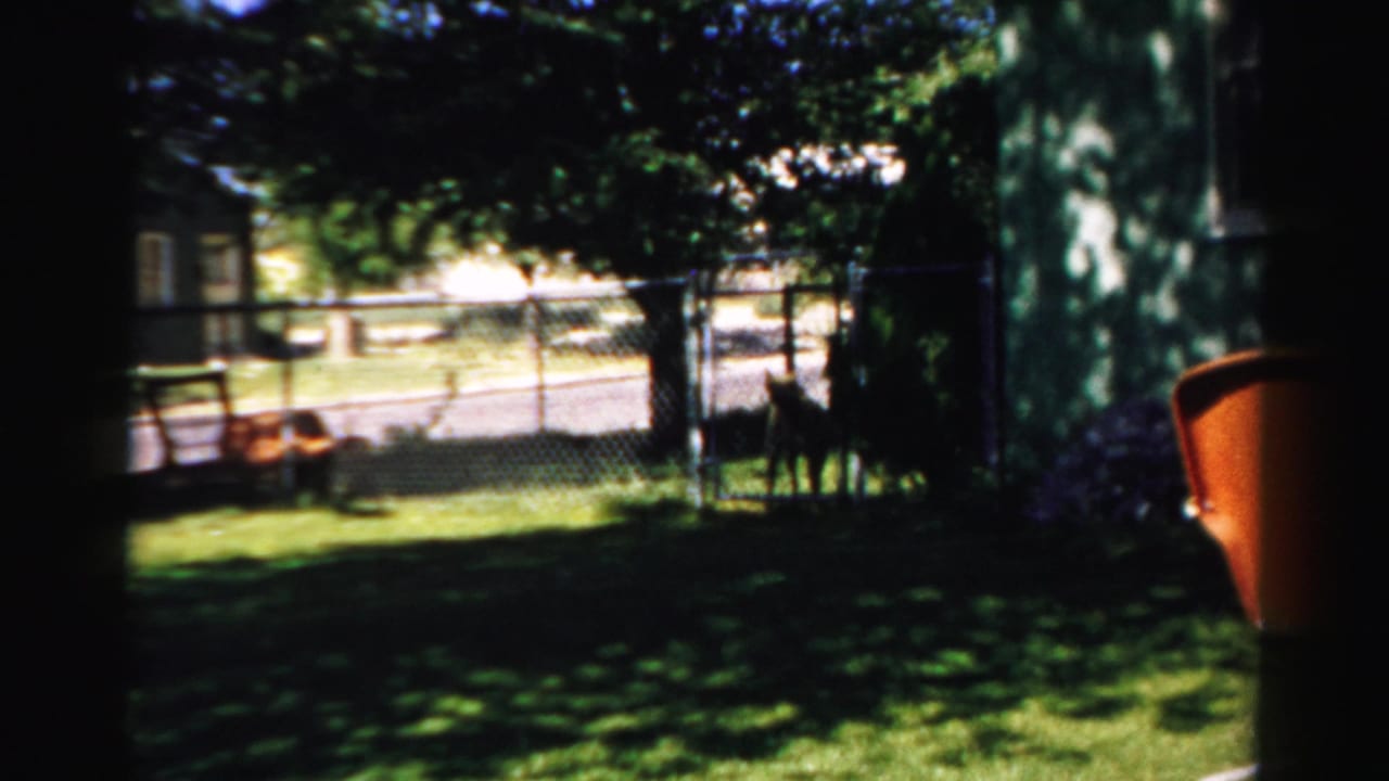 1957 Normal, Illinois home-movie frame showing a shaded lawn, chain-link fence, dog, trees, and a distant house exterior.