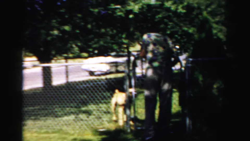 1957 Normal, Illinois yard scene with a tan dog near the fence and a man standing in tree shade.