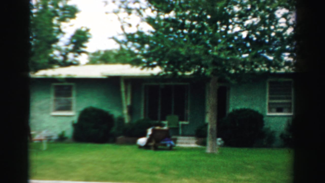 Green single-story house behind a lawn with a large tree and shrubs.