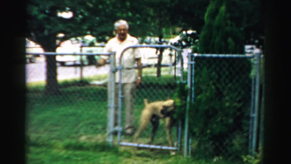 In the yard scene, a man stands near an open chain-link gate as a tan dog moves on the grass, with trees and parked cars beyond.