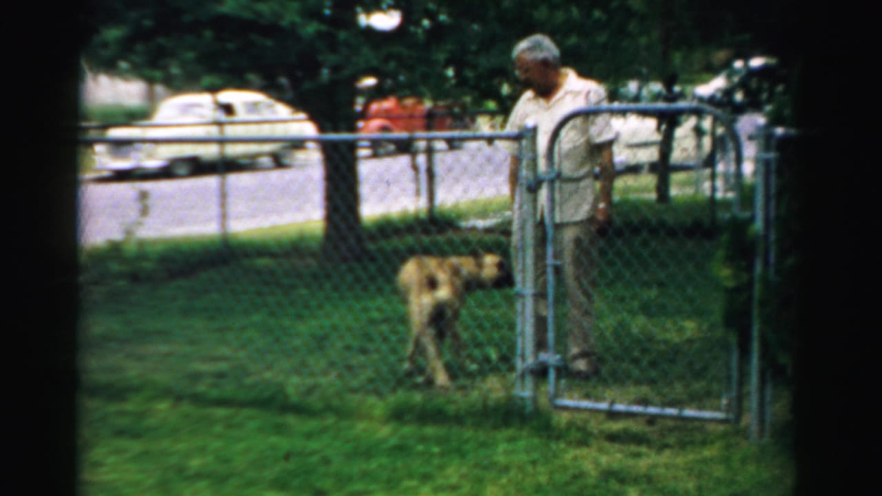 1957 Normal, Illinois home-movie frame showing a man at a backyard chain-link gate with a tan dog on the lawn.