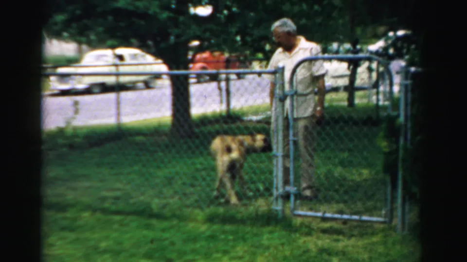 1957 Normal, Illinois home-movie frame showing a man at a backyard chain-link gate with a tan dog on the lawn.