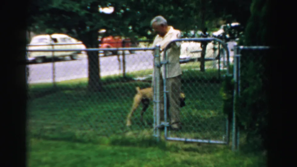 1957 Normal, Illinois backyard view with the man holding near the gate as the dog moves through the grass.