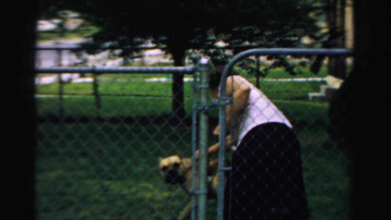Woman bends near a chain-link fence while a light-colored dog stands in a green yard.