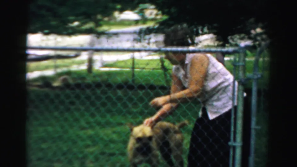The woman reaches toward the dog in a fenced green yard, with trees and a residential street visible beyond the fence.